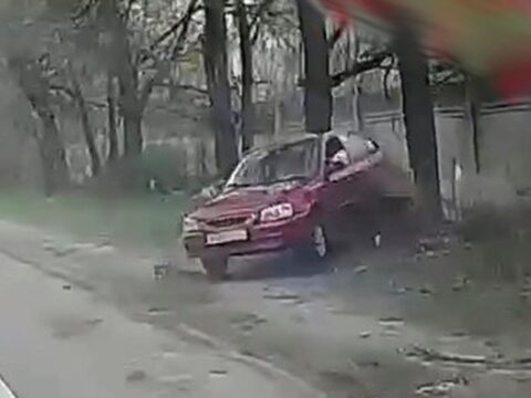 Дорожный инцидент в Быково: схватка двух автоледи закончилась столкновением с деревом Новости Раменское 