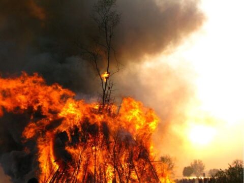 «Горячие» майские в Раменском: три пожара за два дня Новости Раменское 