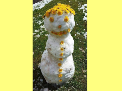 Уникального майского снеговика создали в Раменском Новости Раменское 